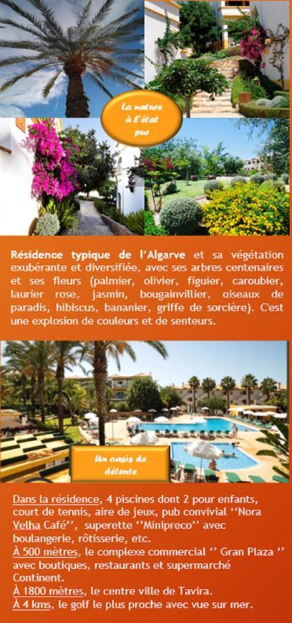 Nice 2 Bedroom Apartment Groundfloor Swimming Pool تافيرا المظهر الخارجي الصورة